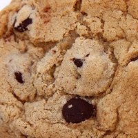 Cookie Naakt