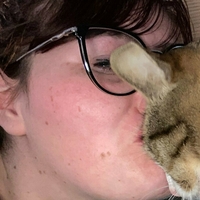 kittykatastrophy69 Naakt